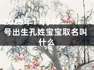 2025年11月17号出生孔姓宝宝取名叫什么
