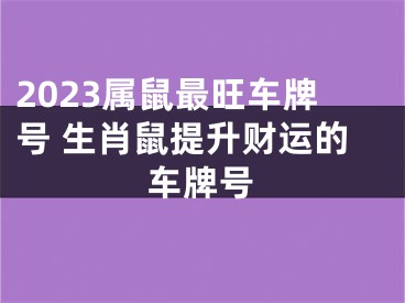 2023属鼠最旺车牌号 生肖鼠提升财运的车牌号