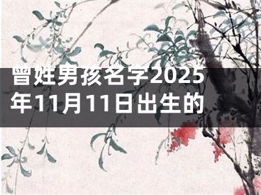 曾姓男孩名字2025年11月11日出生的