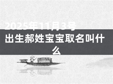 2025年11月3号出生郝姓宝宝取名叫什么