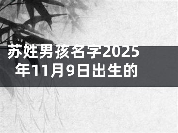 苏姓男孩名字2025年11月9日出生的