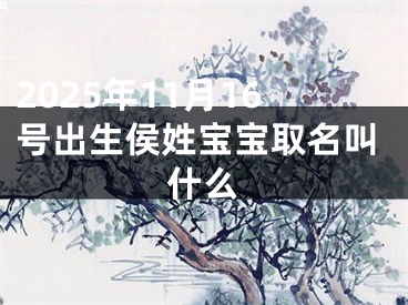 2025年11月16号出生侯姓宝宝取名叫什么