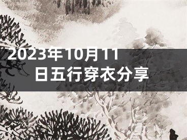 2023年10月11日五行穿衣分享
