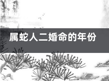 属蛇人二婚命的年份