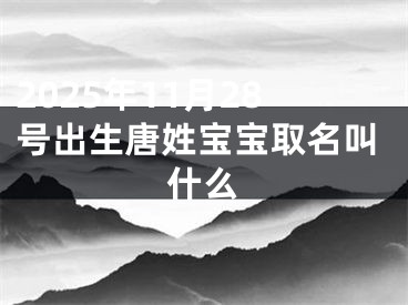 2025年11月28号出生唐姓宝宝取名叫什么