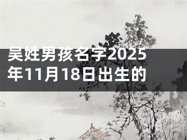 吴姓男孩名字2025年11月18日出生的