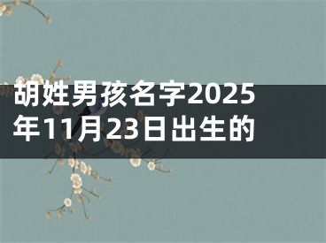 胡姓男孩名字2025年11月23日出生的