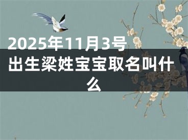 2025年11月3号出生梁姓宝宝取名叫什么