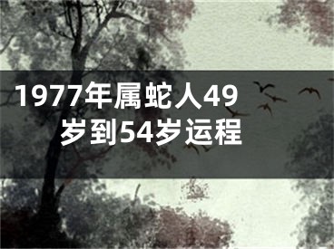1977年属蛇人49岁到54岁运程