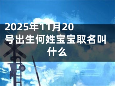 2025年11月20号出生何姓宝宝取名叫什么