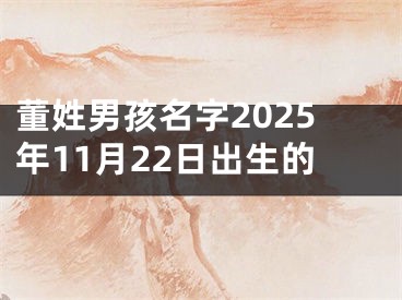 董姓男孩名字2025年11月22日出生的