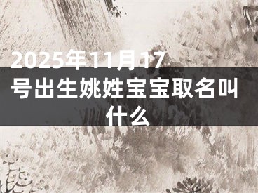 2025年11月17号出生姚姓宝宝取名叫什么
