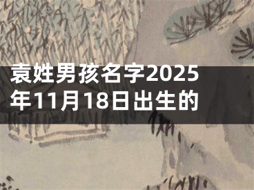 袁姓男孩名字2025年11月18日出生的