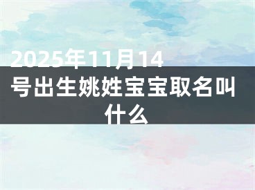 2025年11月14号出生姚姓宝宝取名叫什么