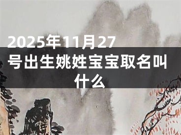 2025年11月27号出生姚姓宝宝取名叫什么