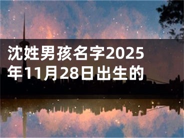 沈姓男孩名字2025年11月28日出生的