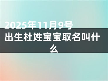2025年11月9号出生杜姓宝宝取名叫什么