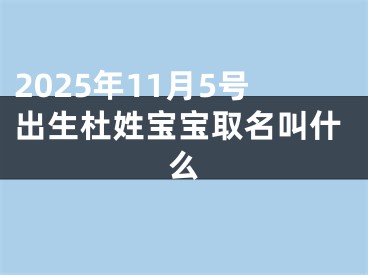 2025年11月5号出生杜姓宝宝取名叫什么
