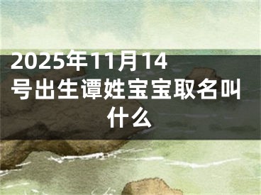 2025年11月14号出生谭姓宝宝取名叫什么