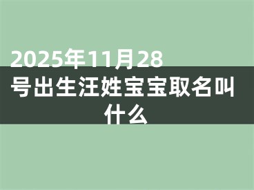 2025年11月28号出生汪姓宝宝取名叫什么