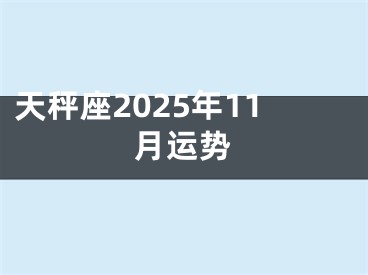 天秤座2025年11月运势