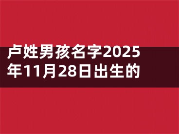 卢姓男孩名字2025年11月28日出生的