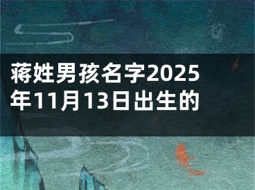 蒋姓男孩名字2025年11月13日出生的