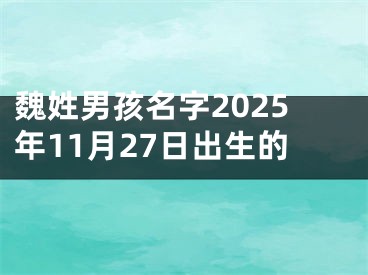 魏姓男孩名字2025年11月27日出生的