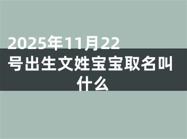 2025年11月22号出生文姓宝宝取名叫什么