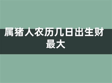 属猪人农历几日出生财最大