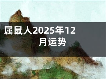 属鼠人2025年12月运势
