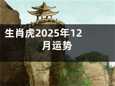 生肖虎2025年12月运势