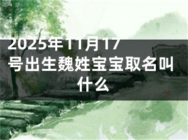 2025年11月17号出生魏姓宝宝取名叫什么