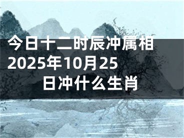 今日十二时辰冲属相 2025年10月25日冲什么生肖