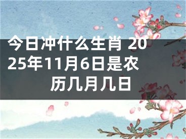 今日冲什么生肖 2025年11月6日是农历几月几日