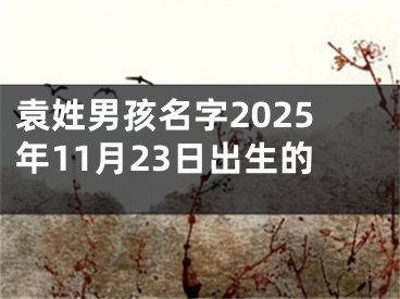 袁姓男孩名字2025年11月23日出生的