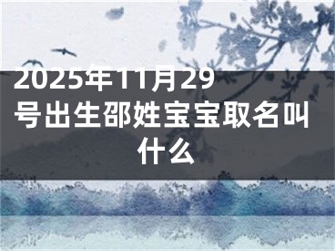 2025年11月29号出生邵姓宝宝取名叫什么