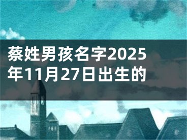 蔡姓男孩名字2025年11月27日出生的
