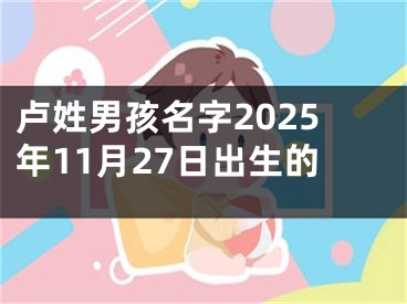 卢姓男孩名字2025年11月27日出生的