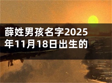 薛姓男孩名字2025年11月18日出生的
