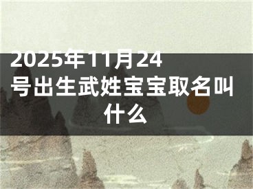 2025年11月24号出生武姓宝宝取名叫什么