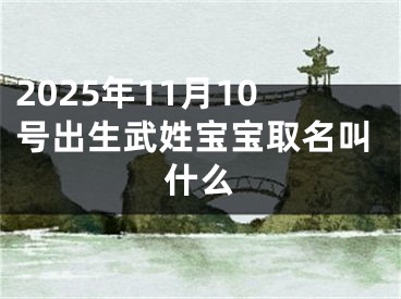 2025年11月10号出生武姓宝宝取名叫什么