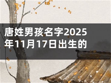 唐姓男孩名字2025年11月17日出生的