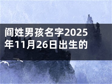 阎姓男孩名字2025年11月26日出生的