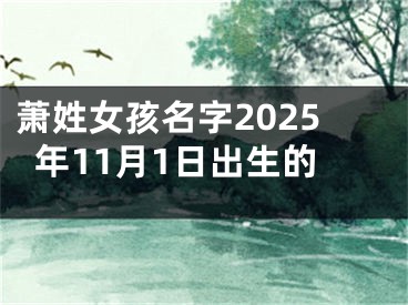 萧姓女孩名字2025年11月1日出生的