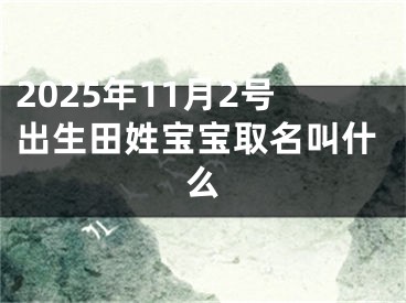 2025年11月2号出生田姓宝宝取名叫什么