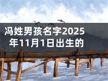 冯姓男孩名字2025年11月1日出生的