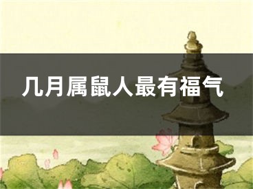 几月属鼠人最有福气