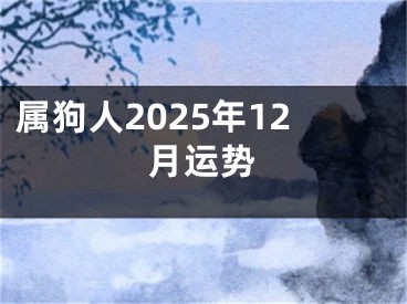 属狗人2025年12月运势