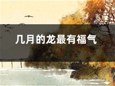 几月的龙最有福气